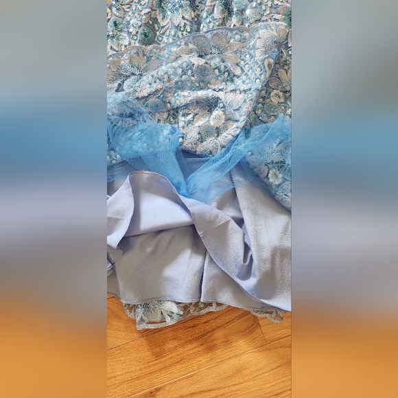 Stunning Beaded Dress NWT! - Picture 4 of 14